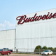 Image for article titled Judge orders Anheuser-Busch to stop running annoying corn-syrup ads